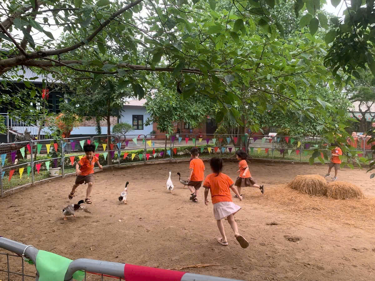 z6542183297534 185f2e6777f6d53433d849bc39a617b7